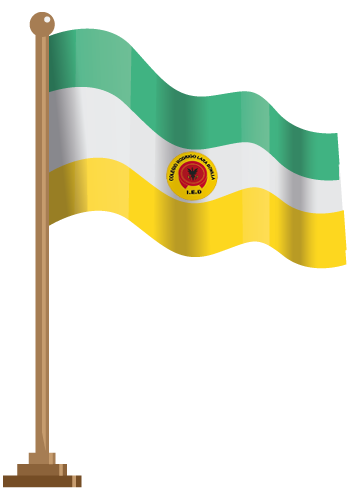 Bandera2